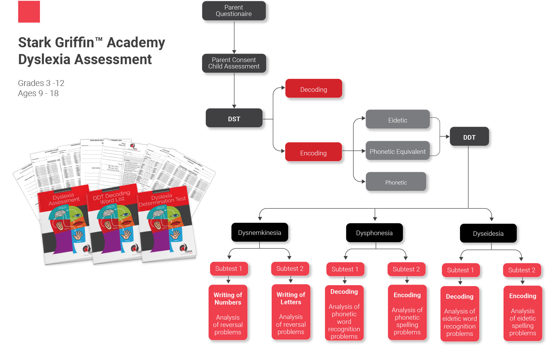 dyslexia steps